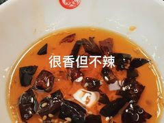 -常赢三兄弟·清真涮肉(崂山路总店)