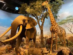 -陕西自然博物馆