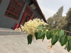 -赵州桥景区