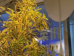 -渔语鱼酸菜鱼新川菜(来福士店)