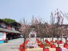 -观澜山水田园