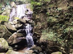 -藏龙百瀑风景区