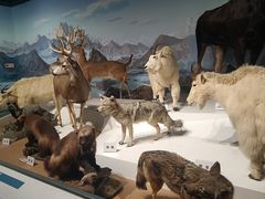 -陕西自然博物馆