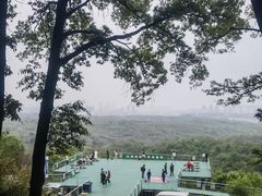 -老山国家森林公园