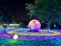 -广西壮族自治区药用植物园