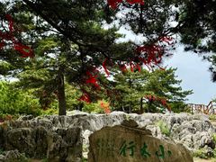 -王莽岭风景区