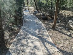 -阳台山自然风景区