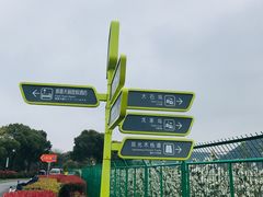 -树山生态村