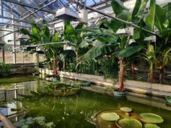 -国家植物园南园