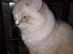 -1点点(东门电玩城店)