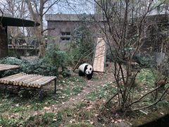 -成都动物园
