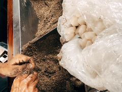 -叶氏麻糍(鼓浪屿店)