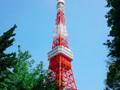 -东京塔海贼王主题公园