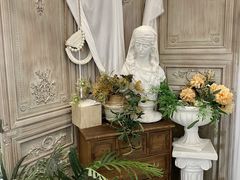 -共舞时光猫咖·狗咖(新街口店)