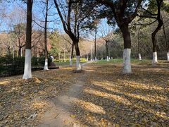 -太子山公园(园东路)