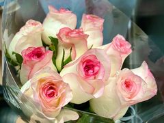 -循礼门鲜花花市(武汉循礼门店)