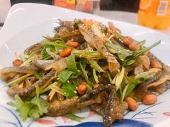-渔意楼·驰名沙田乳鸽(五羊旗舰店)