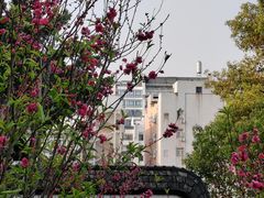-乌山风景区