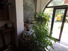 -中国蓝印花布馆