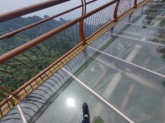 -少华山国家森林公园