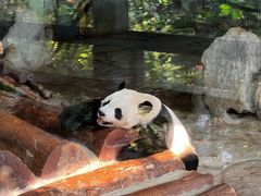 -海南热带野生动植物园