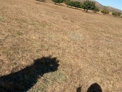 -五角枫生态旅游景区