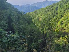 -西安祥峪森林公园