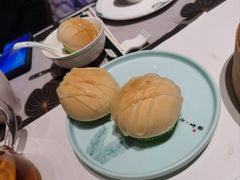 -新兴·金羊座·粤菜点心(乐峰店)