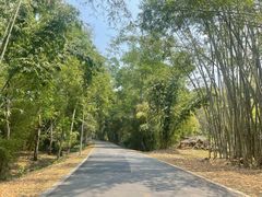 -中国科学院西双版纳热带植物园