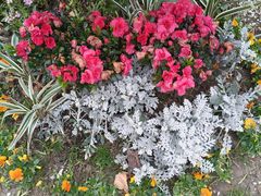 -上海市控江中学