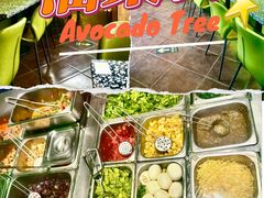 -油梨树AVOCADO TREE(顺义新国展店)