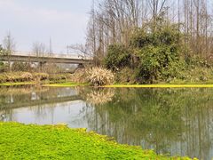 -桤木河湿地公园