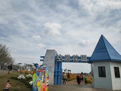 -空港花田景区
