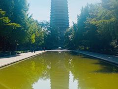 -玲珑塔公园