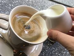 -Apollo·西班牙小酒馆(安福路店)