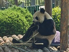 -大连森林动物园