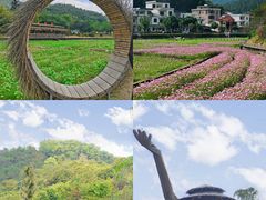 -红山村