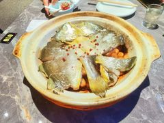 -1937青岛老味道·海肠捞饭·青岛菜(大鲍岛栈桥店)