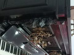 -鼓浪屿钢琴博物馆