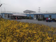 景观位-张记美食城