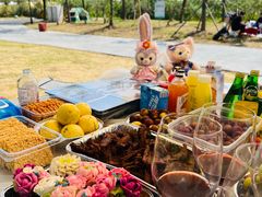 -春花秋色城市公园