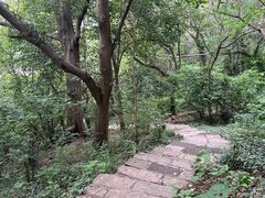 -南京市江宁方山