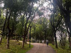 -燕晗山郊野公园