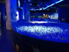 -重庆欢乐海底世界
