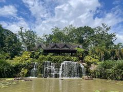 -中国科学院西双版纳热带植物园