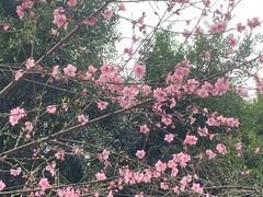 -龙潭水乡
