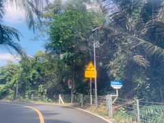 -海南热带雨林国家公园吊罗山景区