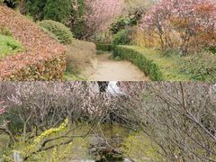 -凤城河风景区