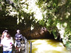 -怀托摩萤火虫洞