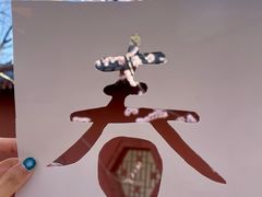 -桃花堤公园